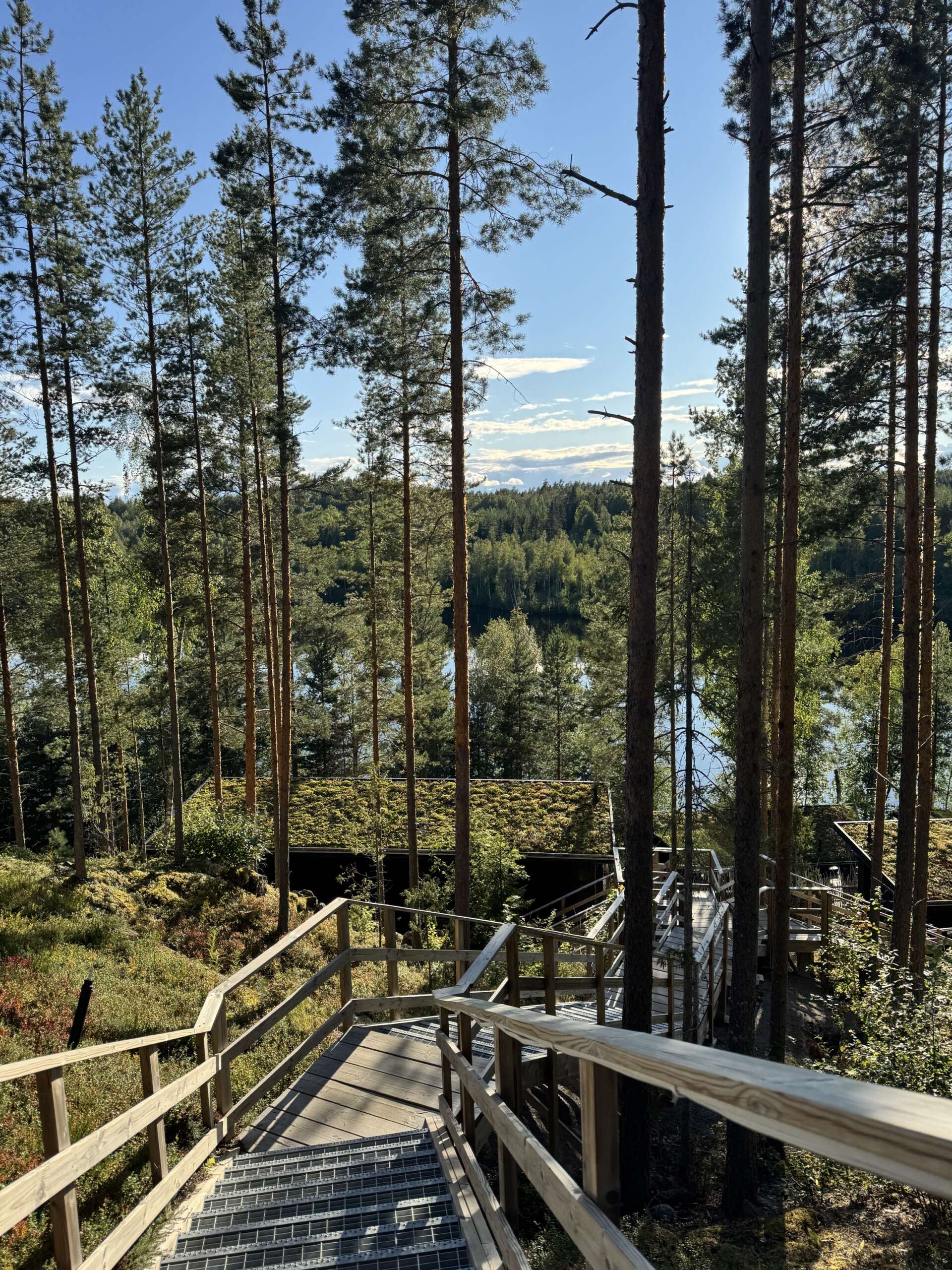 Holztreppen schlängeln sich durch hohe Kiefern zu einem See bei klarem, blauen Himmel.